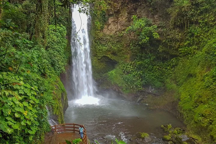 Ein großer Kaskadenwasserfall, umgeben von üppig grüner tropischer Vegetation