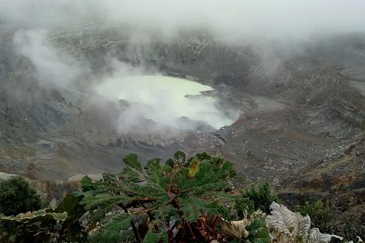 Dampfender Poás-Vulkankrater, teilweise von Nebel verhüllt, mit grünen Pflanzen im Vordergrund