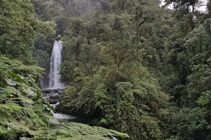 Ein wunderschöner Wasserfall stürzt einen felsigen Abhang hinab, umgeben von üppigem grünem Dschungel